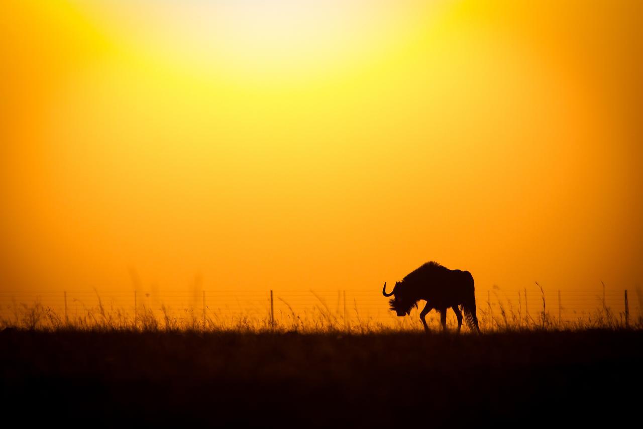 Hotel Ezemvelo Nature Reserve Vaalplaas Exteriér fotografie